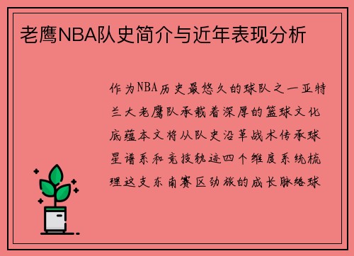老鹰NBA队史简介与近年表现分析