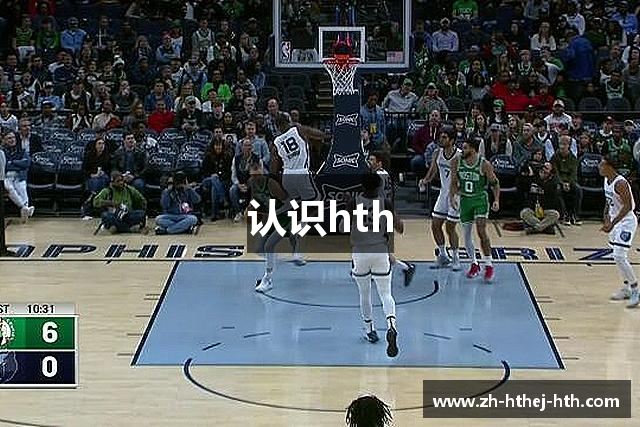 认识hth